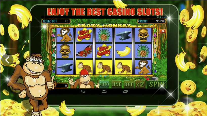 CACTUS Casino - Промо 1